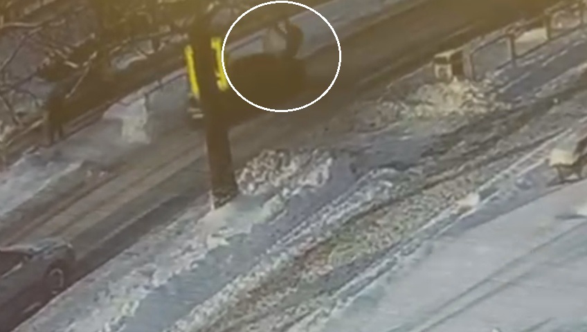 Kobieta zostaje potrącona na przejściu dla pieszych.