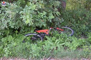 Rower leżący na poboczu drogi w zaroślach