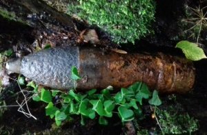 Leżący na ziemi w lesie wśród ściółki pocisk artyleryjski