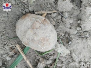 Granat ręczny leżący w grudach ziemi