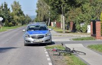 Leżący na pasie zieleni rower i stojący na jezdni radiowóz.