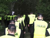 Policjanci wchodzą do lasu.