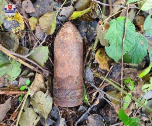 Skorodowany pocisk artyleryjski leżący na ściółce leśnej