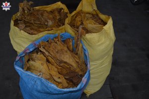 Susz tytoniowy bez polskich znaków skarbowych akcyzy w workach