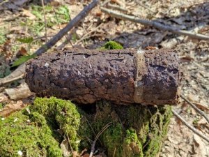 Skorodowany pocisk artyleryjski leżący na ściółce leśnej