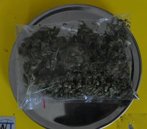Susz marihuany w torebce foliowej