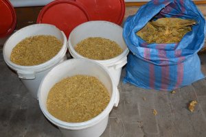 Trzy plastikowe pojemniki z krajanką tytoniową i worek z suszem tytoniu.