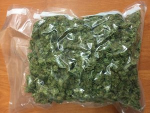 Susz marihuany w torebce foliowej