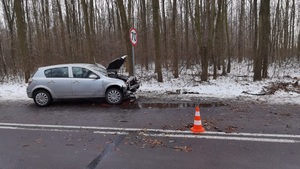 Rozbity samochód stojący na poboczu drogi, w tle drzewa.