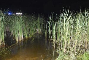 Trzcina w wodzie, w tle sygnały błyskowe radiowozu.