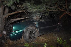 Rozbity samochód przy pniu drzewa.
