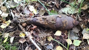 Skorodowany pocisk moździerzowy leżący na ściółce leśnej.