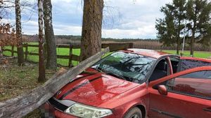 Uszkodzony samochód w drewnianym ogrodzeniu posesji, w tle trawa i drzewa.