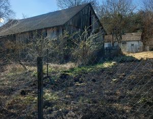 spalona trawa, w tle widać zabudowania