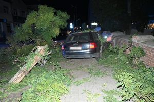 Uszkodzony samochód stojący na chodniku a obok przewrócone drzewo.