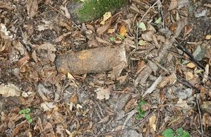 Skorodowany pocisk leżący na ściółce leśnej.