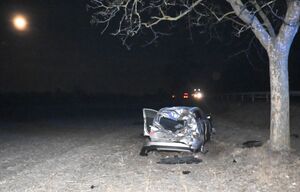 Rozbity samochód stojący poza drogą w pobliżu drzewa