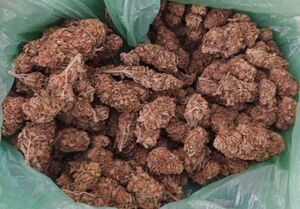 Zabezpieczony susz marihuany