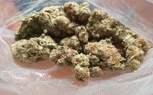 Zabezpieczony susz marihuany