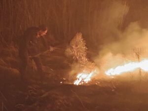 Policjantka gasi płomienie palących się suchych traw