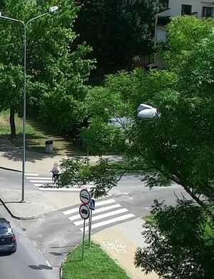 Screen z ekranu z nagraniem przejazdu rowerem po przejściu dla p[pieszych.