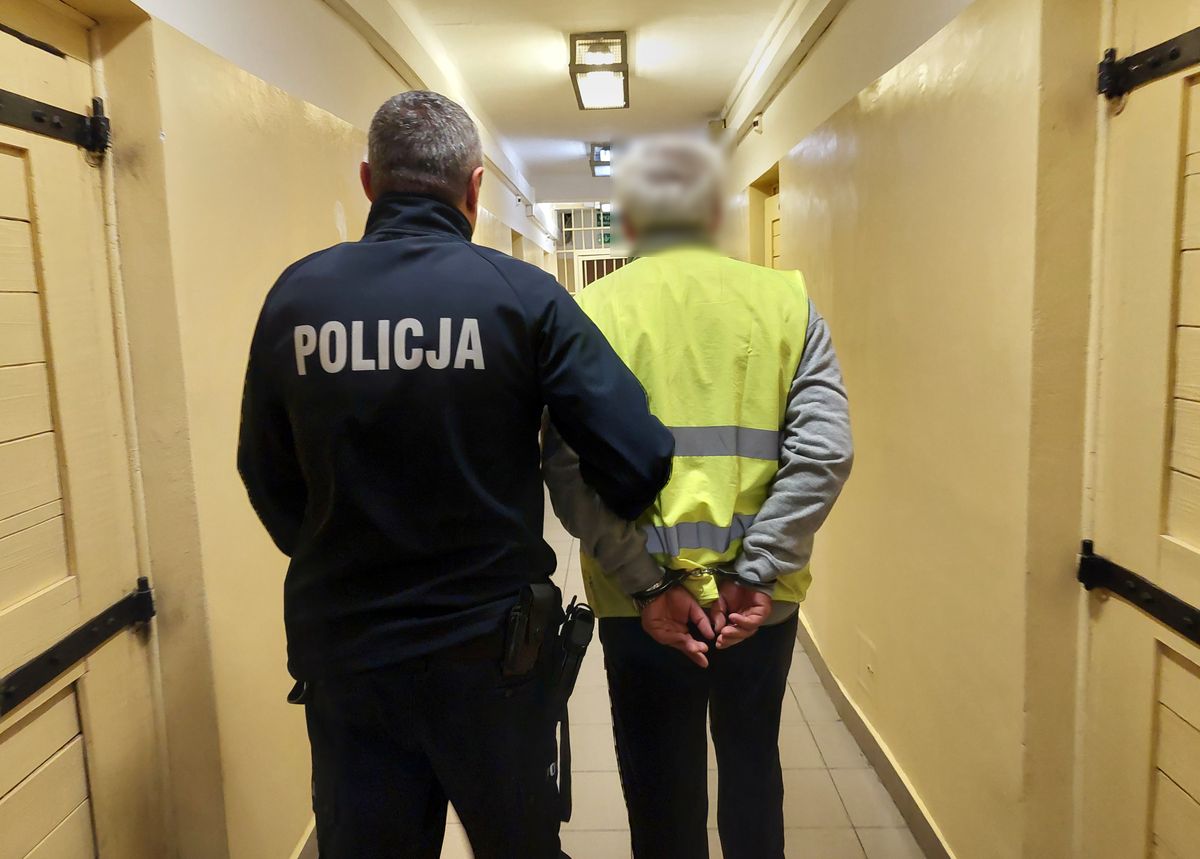 Kierowca z Ukrainy wydalony z Polski za jazdę mimo zakazu
