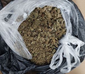 zabezpieczone narkotyki